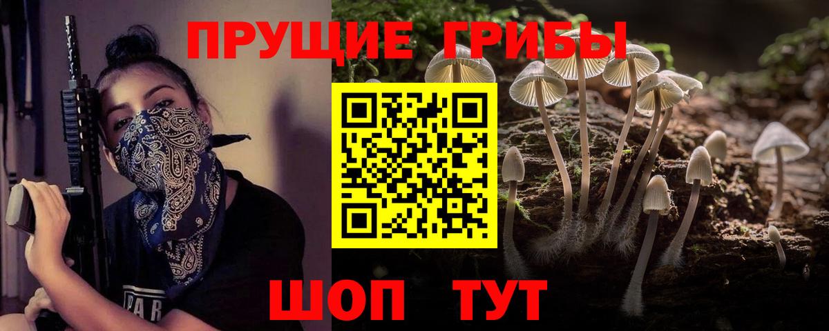 Псилоцибиновые грибы MAGIC MUSHROOMS  Галлюциногенные грибы GOLDEN TEACHER  Вход с VPN  Тольятти 